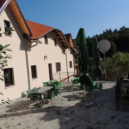 Mokus Panzio 4* Bicfălău